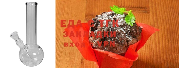 СК Пересвет