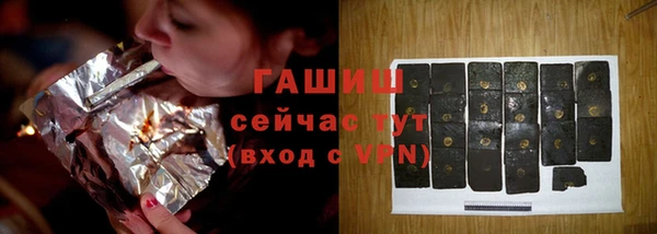 СК Пересвет