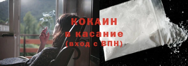 СК Пересвет