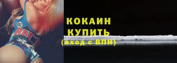 дмт Переславль-Залесский