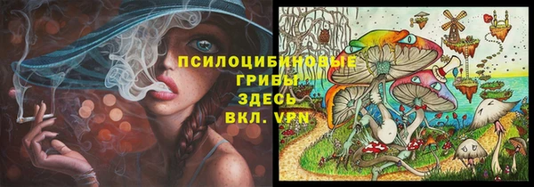 дмт Переславль-Залесский
