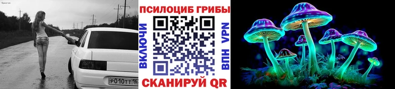 Псилоцибиновые грибы Psilocybe  сайты даркнета как зайти  Белая Холуница 