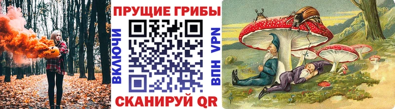 Псилоцибиновые грибы ЛСД Белая Холуница